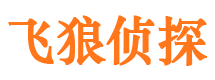 汤旺河侦探调查公司